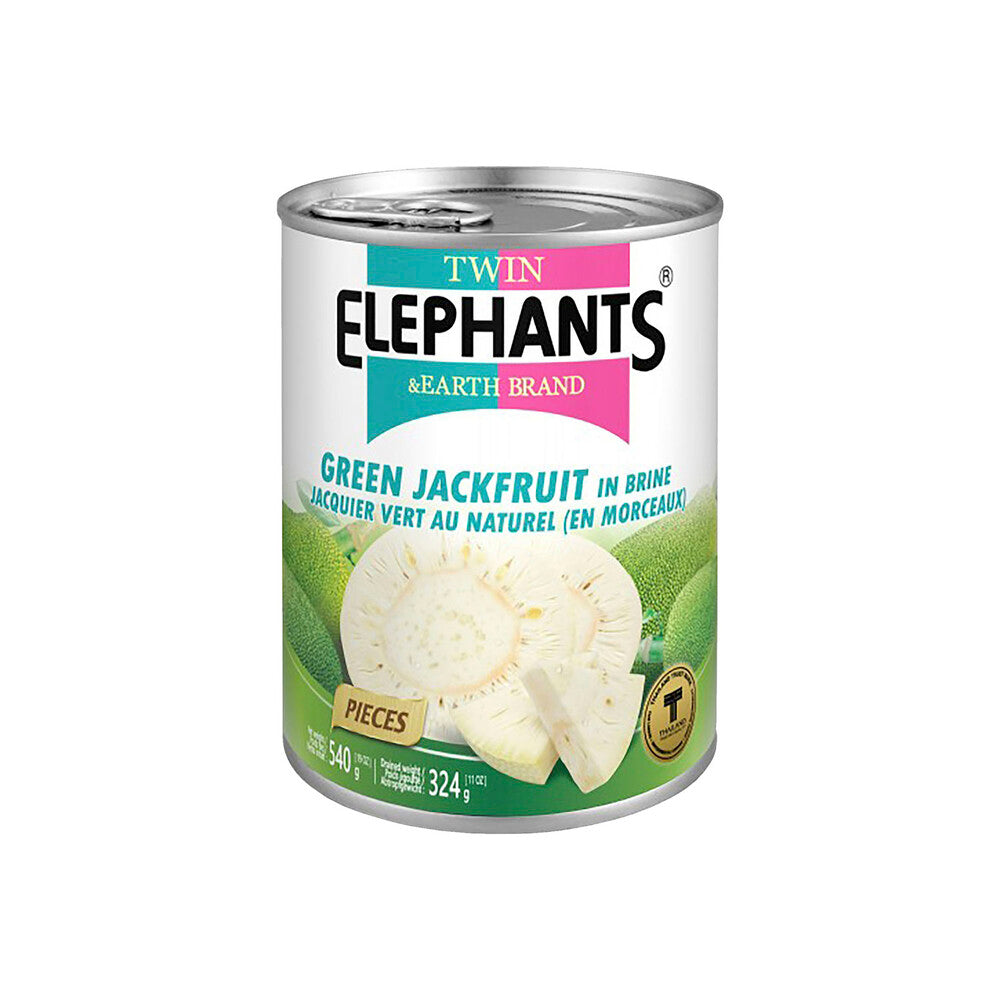 Twin Elephants Green Jackfruit - 540g