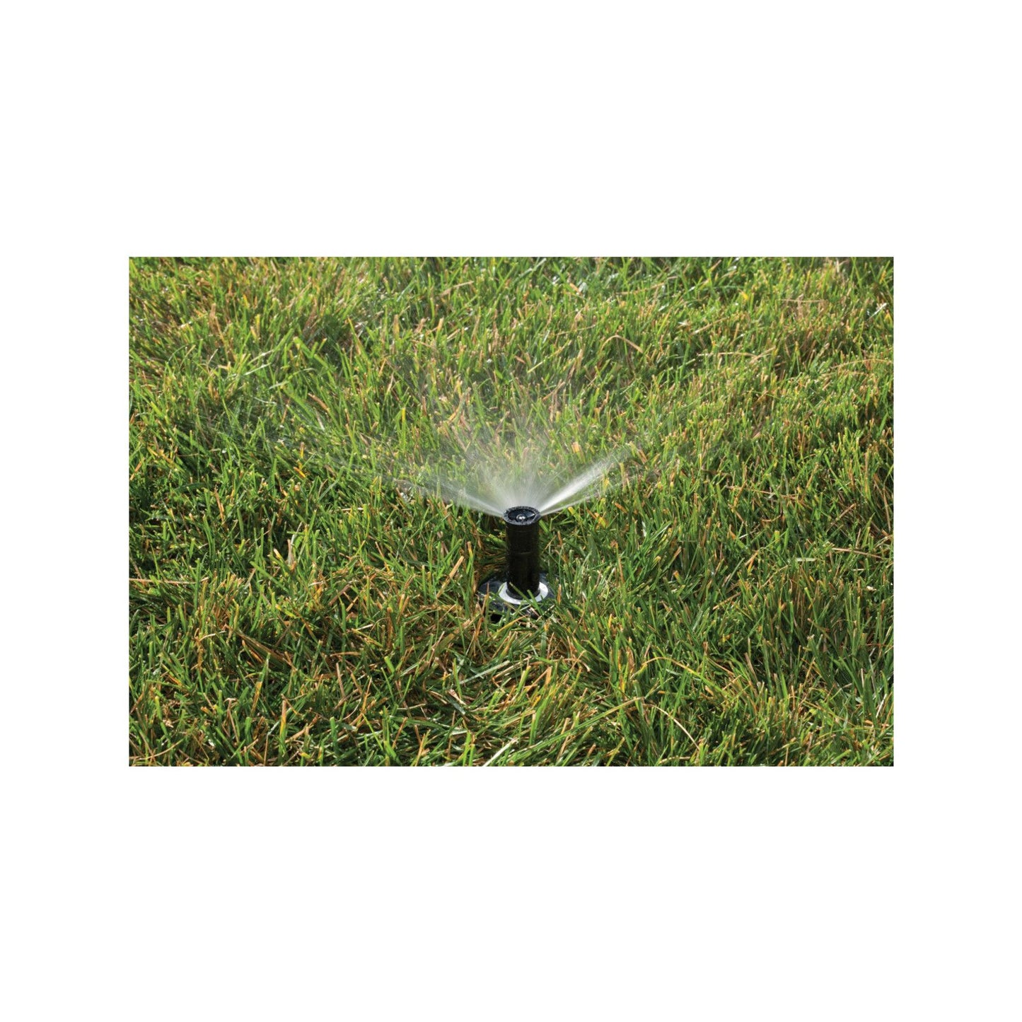 Rain Bird Adjustable Spray Pop-Up Sprinkler - 50mm - 2.4m