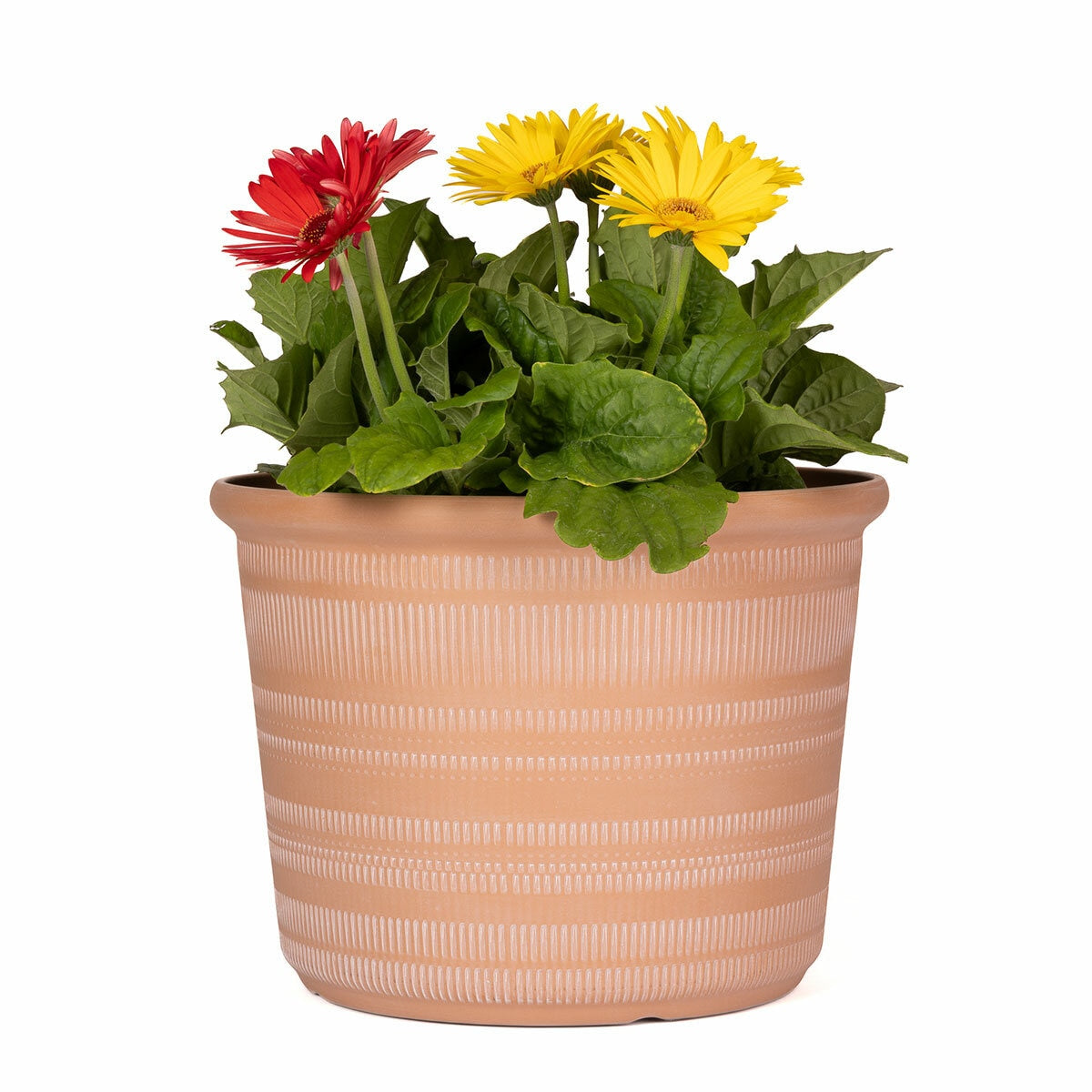 Trendspot Forum Planters Terracotta Weather Resistant Pp 3 Pack 14.4in