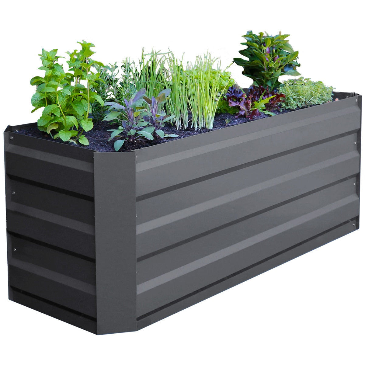 Greenlife Slimline Garden Bed And Greenhouse Cover 120 x 45 x 45cm Charcoal