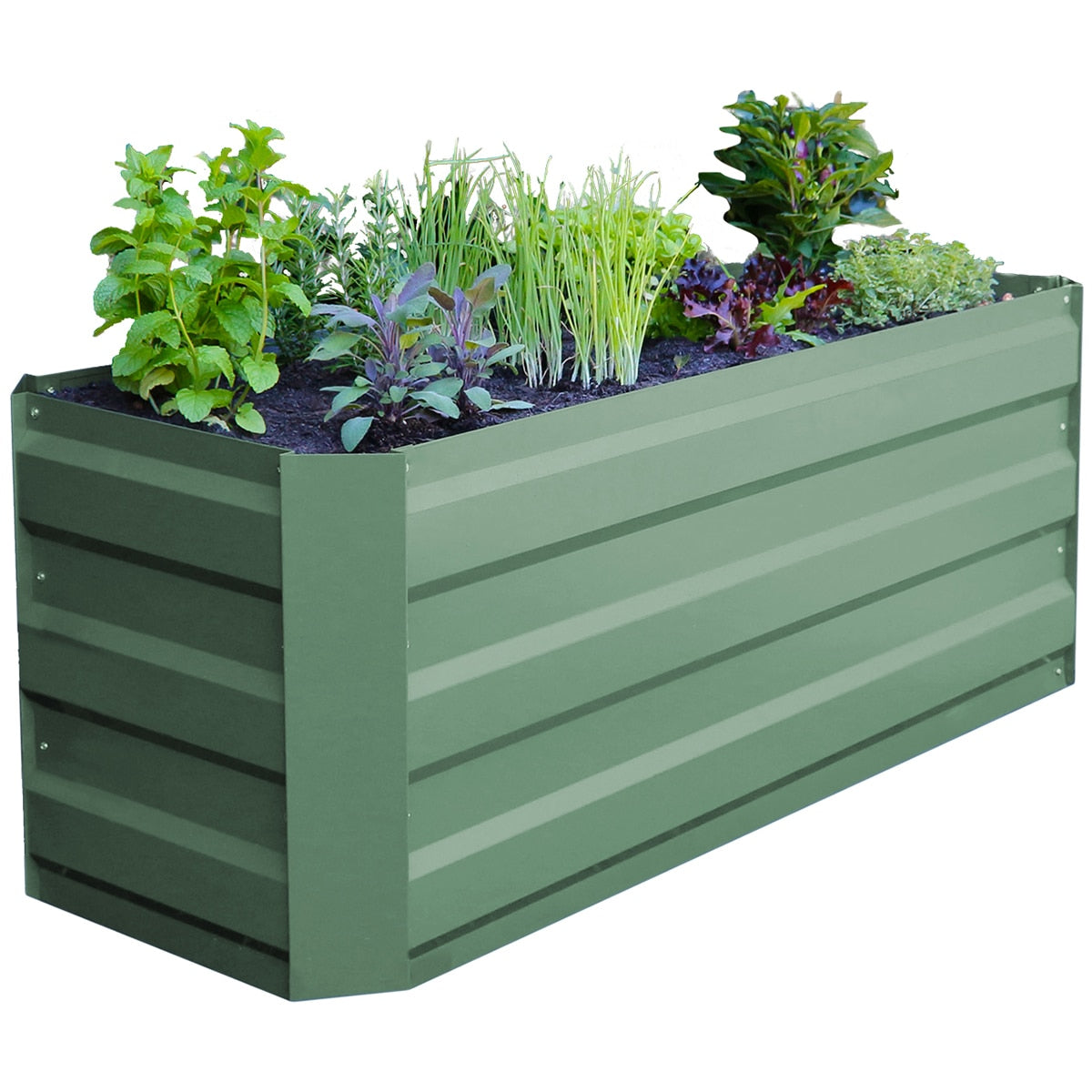Greenlife Slimline Garden Bed And Greenhouse Cover 120 x 45 x 45cm Eucalyptus