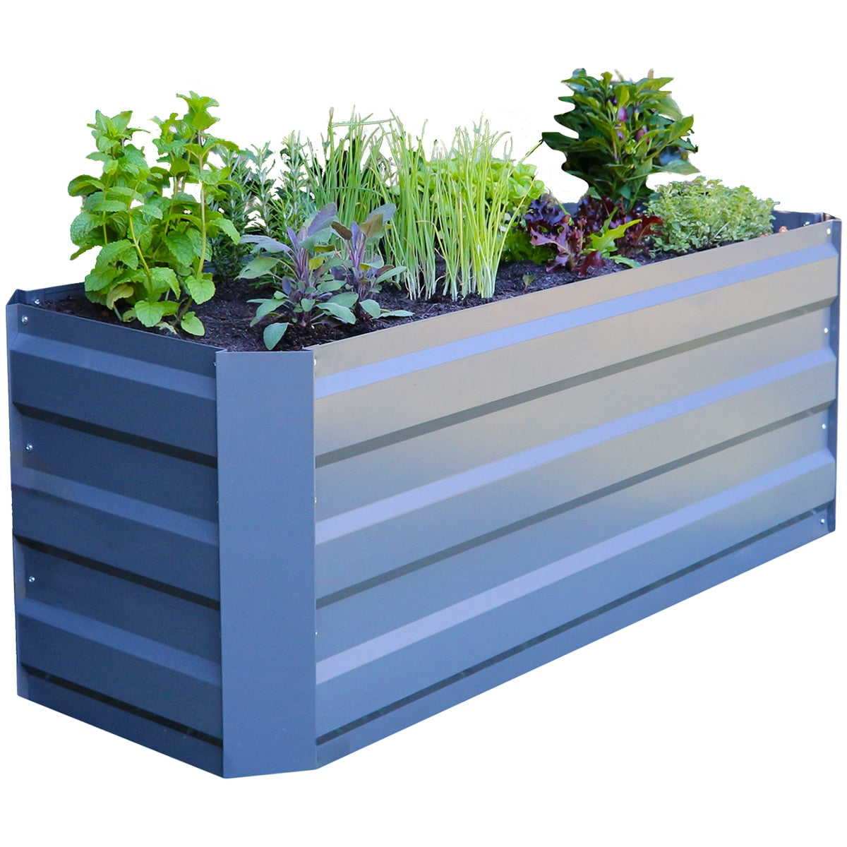 Greenlife Slimline Garden Bed And Greenhouse Cover 120 x 45 x 45cm Slate Grey