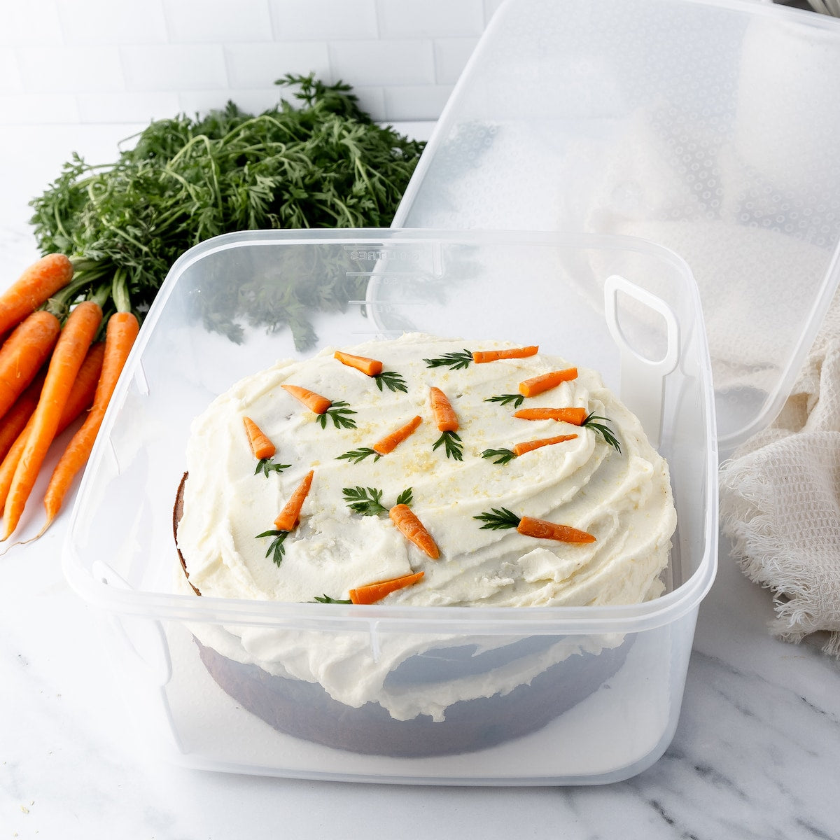 Decor Tellfresh Cake Container With Lifter 6l Each