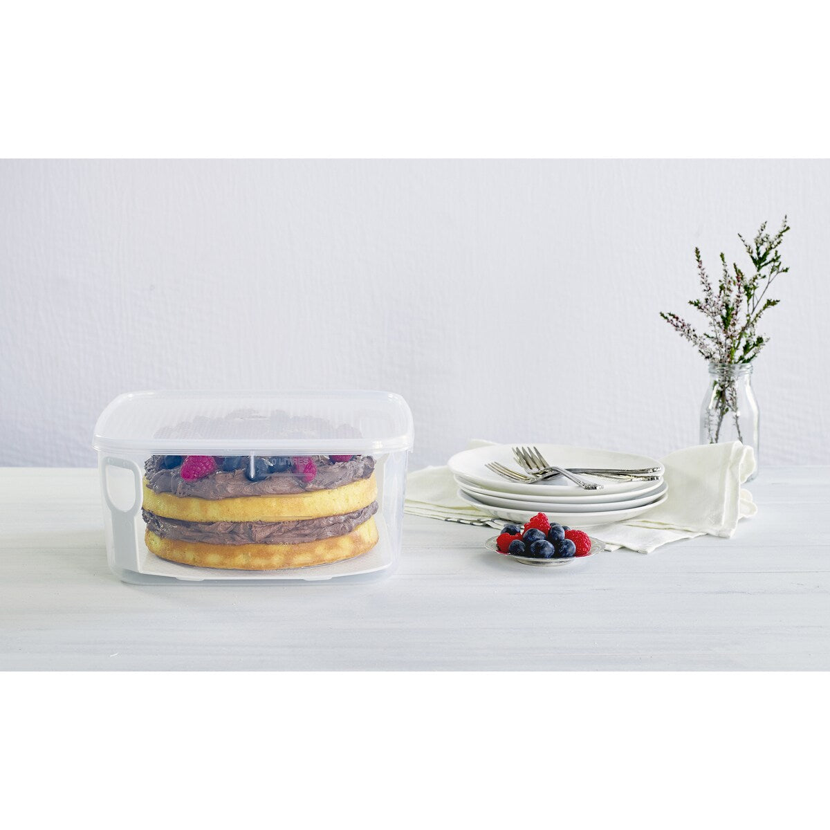 Decor Tellfresh Cake Container With Lifter 6l