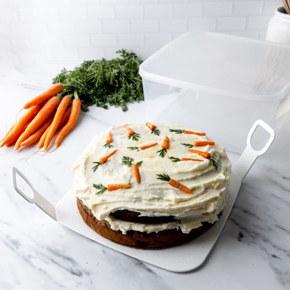 Decor Tellfresh Cake Container With Lifter 6l Each