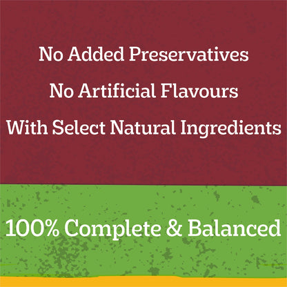 Pedigree Adult Wet Dog Food With Beef Vegies & Gravy Casserole Can 700g