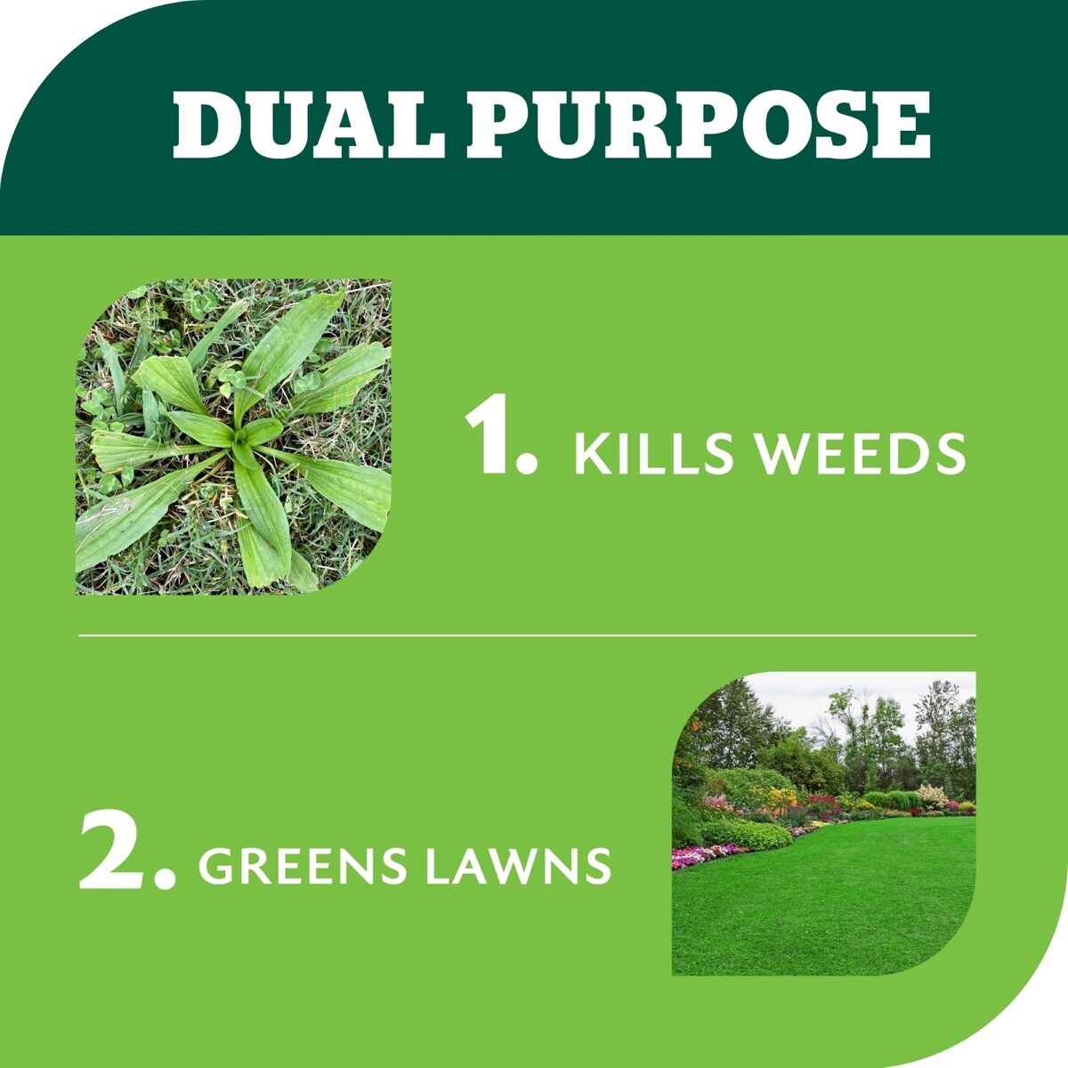 Yates Garden Weed N Feed 2l