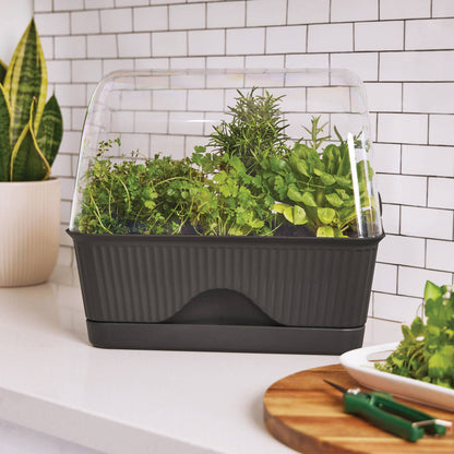 Backyard Farmer Grey Lula Mini Greenhouse