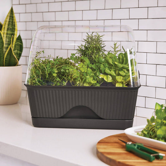 Backyard Farmer Grey Lula Mini Greenhouse