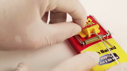 The Big Cheese Mouse Trap