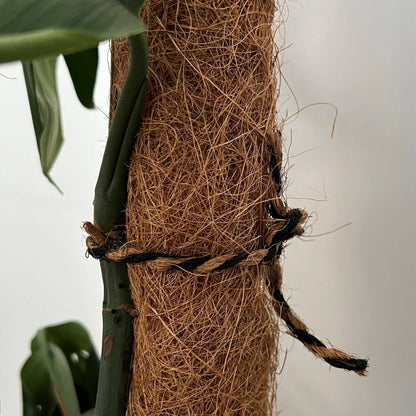 Pillar Coco Twine - 25m - Black & Natural - 3.5mm