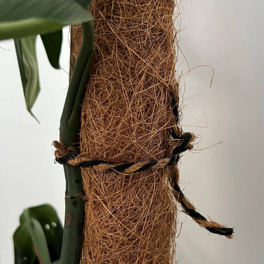 Pillar Coco Twine 25m Black & Natural