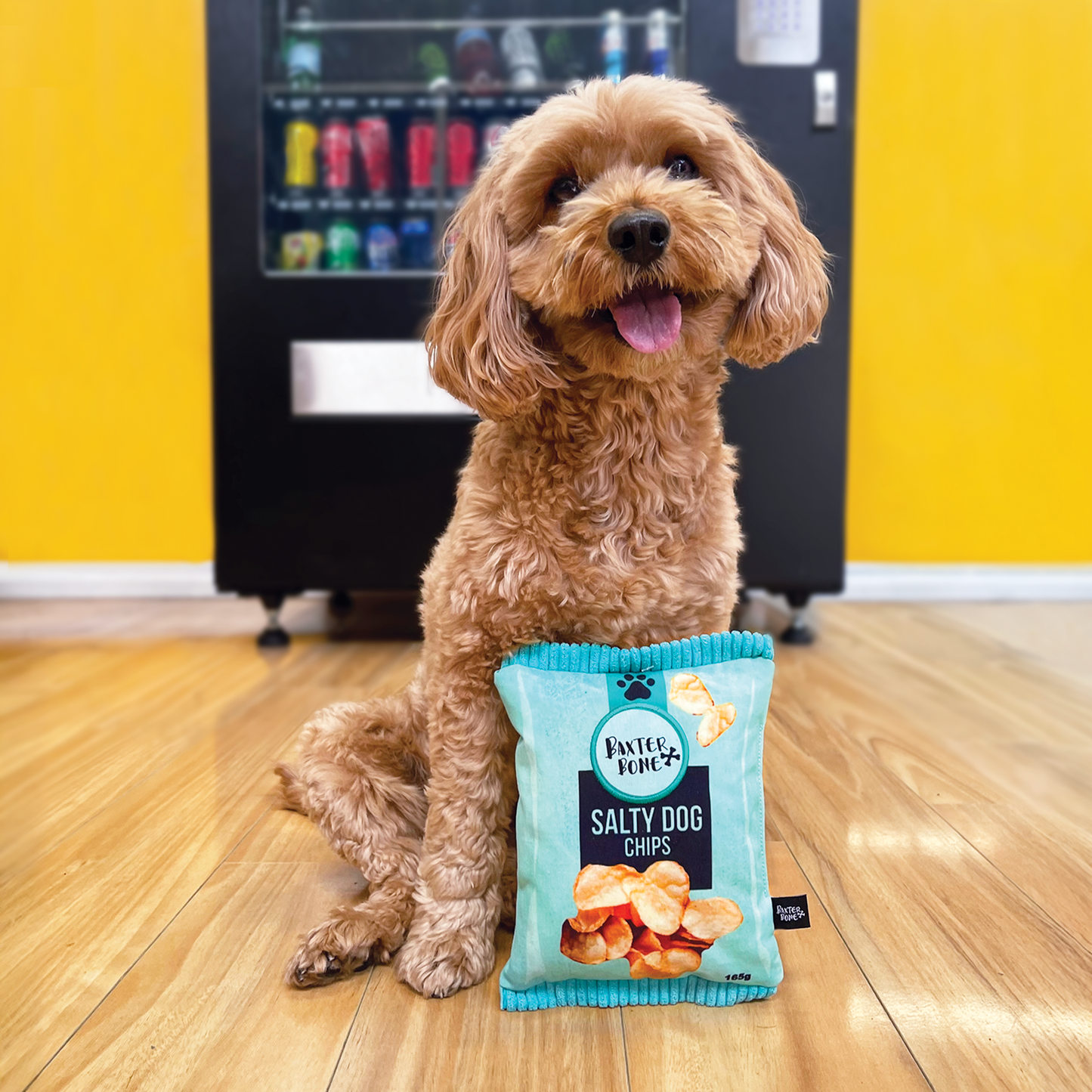 Baxter Bone Salty Dog Chips Pet Toy