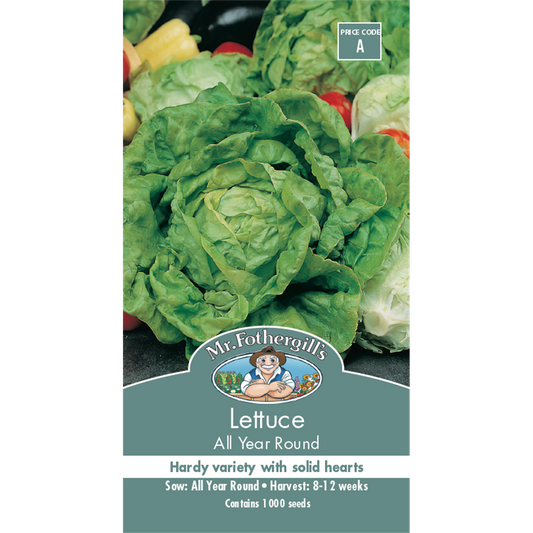 Mr Fothergill All Year Round Lettuce Seeds