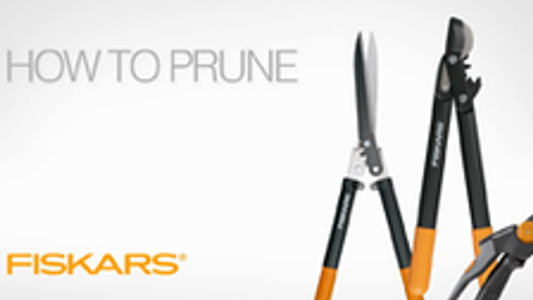 Fiskars Bypass Pruner Ruby - 22mm Carbon Steel Blades - Comfortable Grip