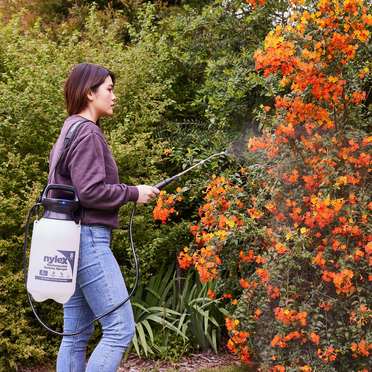 Nylex Battery Garden Sprayer - 8L