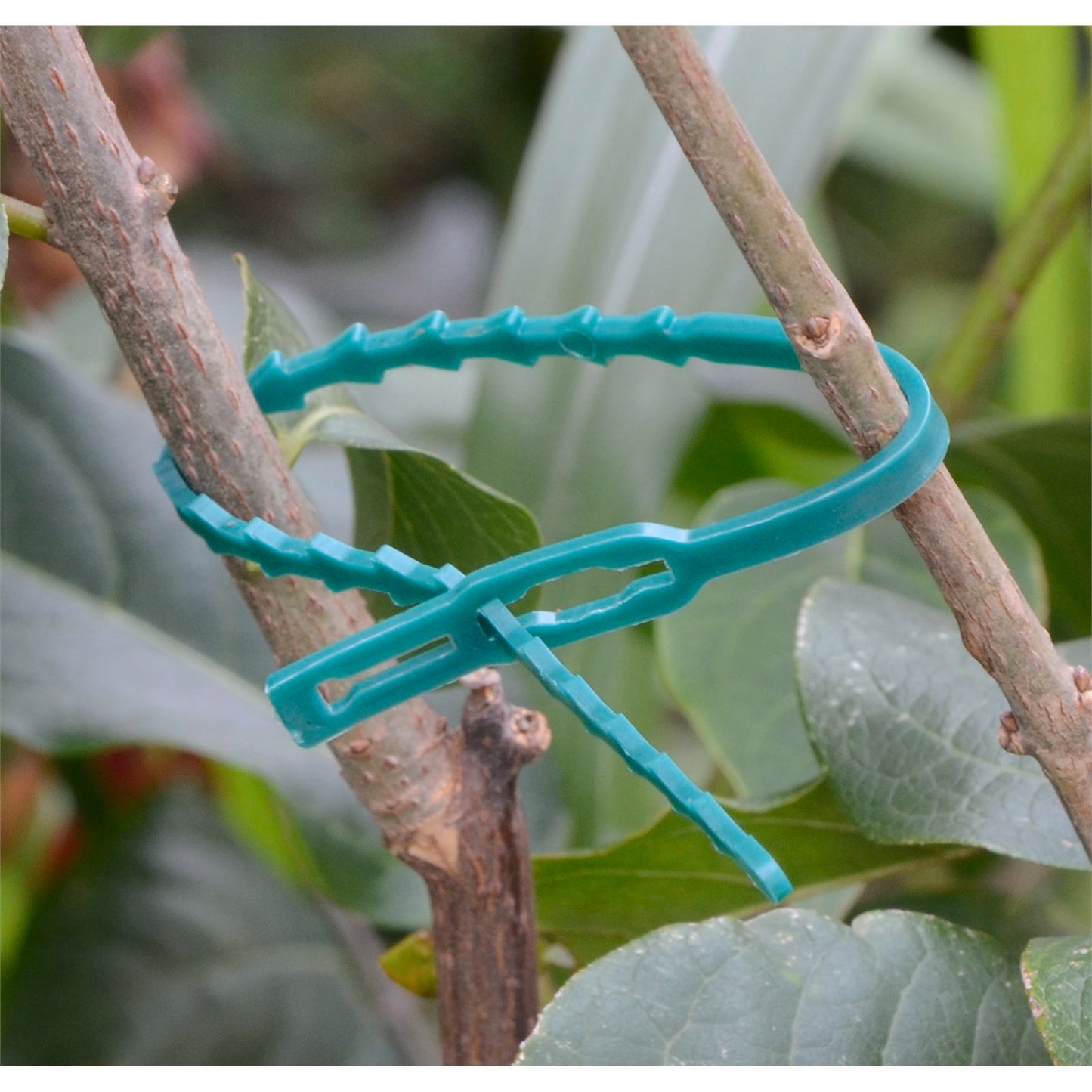 Saxon 50pcs Plant Ties