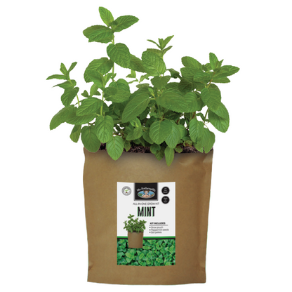 Mr Fothergill Mint Grow Pouch