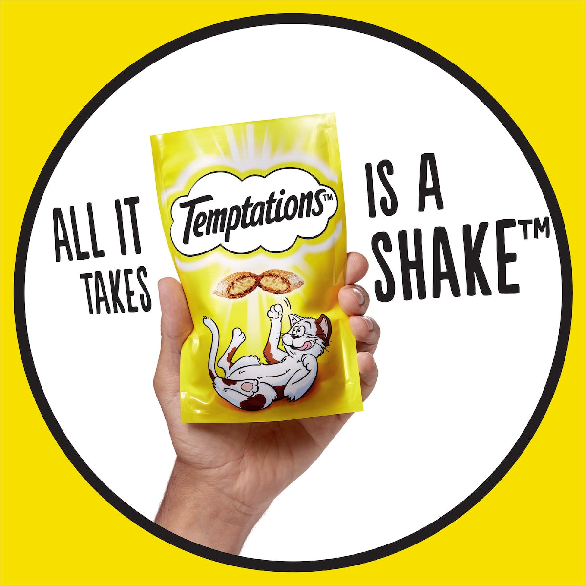 Temptations Treats For Cats Tasty Chicken Flavour 350g