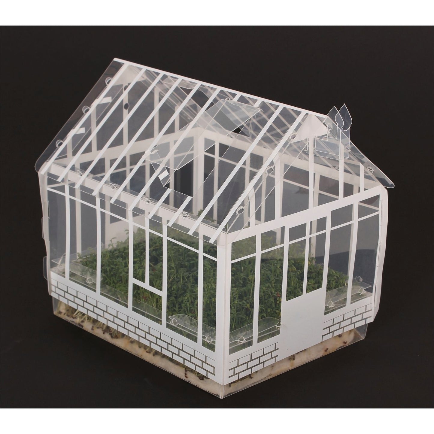 Mr Fothergill Mini Greenhouse Kit