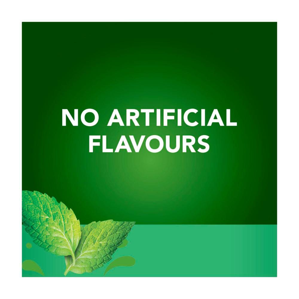 Fountain Mint Sauce For Roast Meat - 250mL