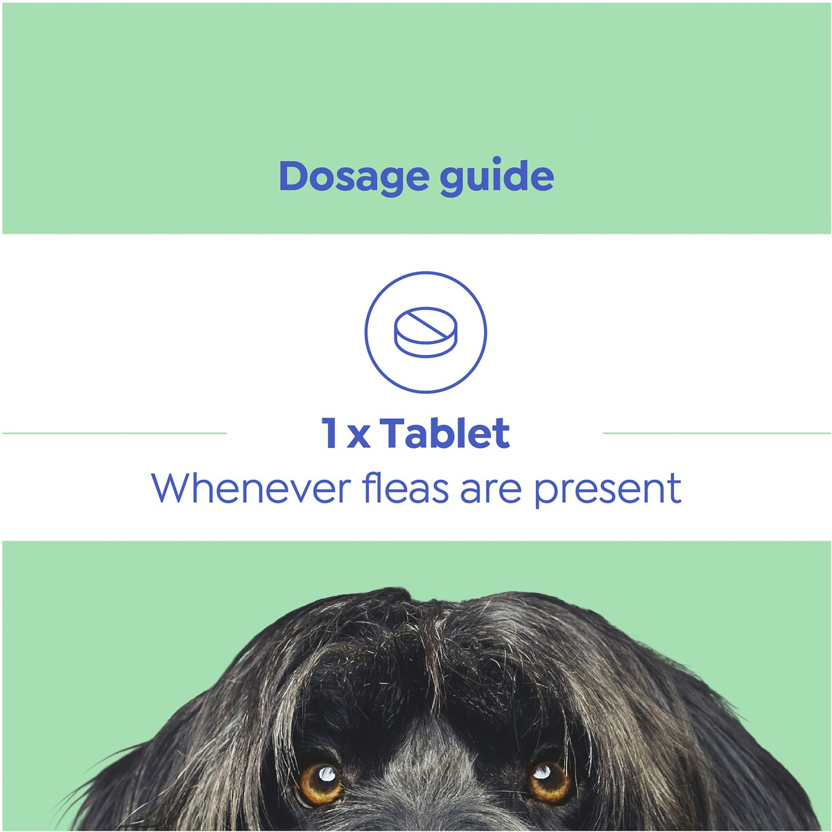 Total Care Capstar Medium/Large Dog 3 pack
