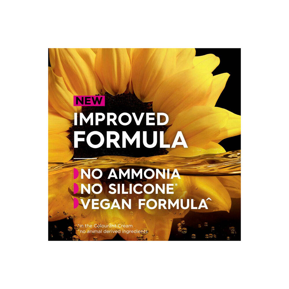 Garnier Olia Hair Colour 2p Platinum Black - 1 each