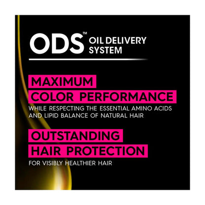 Garnier Olia Hair Colour 2p Platinum Black - 1 each