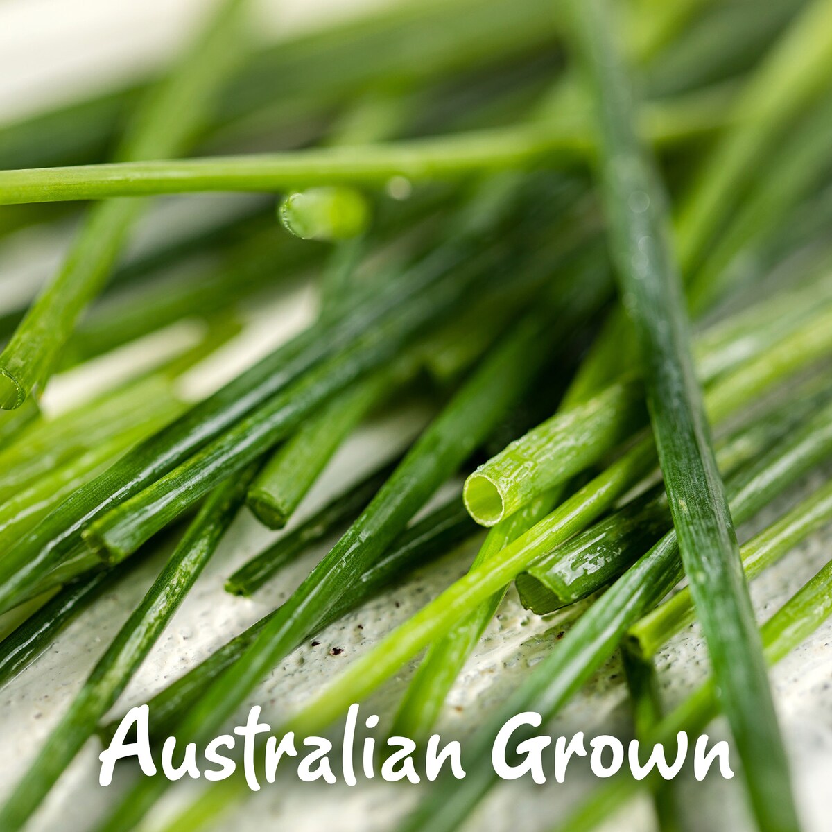 Gourmet Garden Lightly Dried Chives 4g