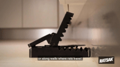 RATSAK Max Strength Rat Trap