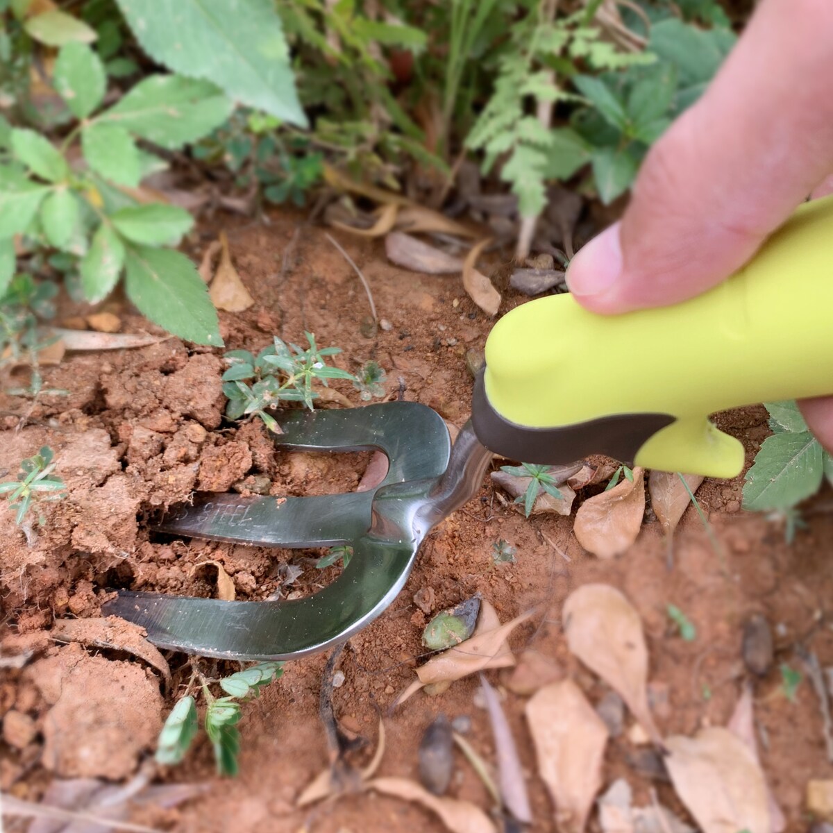 Green Gardener Garden Fork Each
