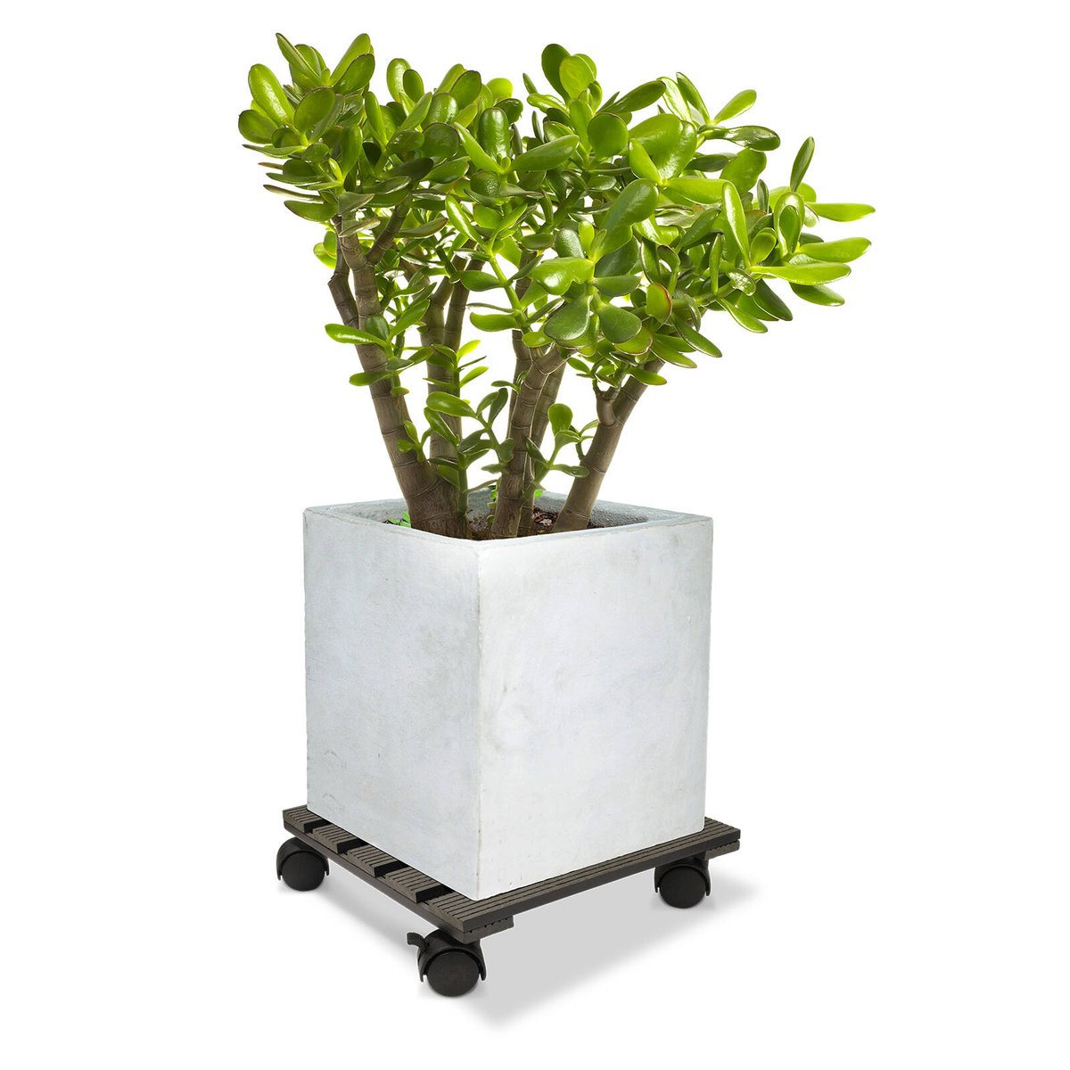 Jack Square Pot Trolley - Charcoal - 29cm - Wood-Poly Composite - Durable