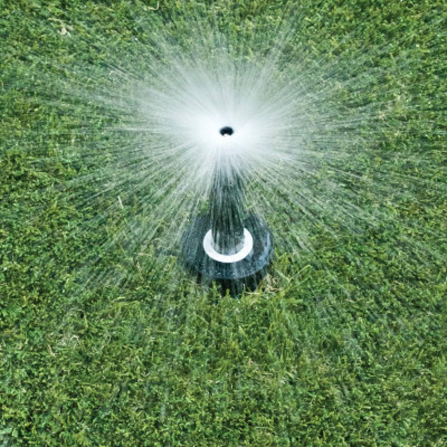 Rain Bird Adjustable Spray Pop-Up Sprinkler - 100mm - 1.2m