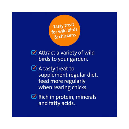 Harmony Dried Mealworms - 120g