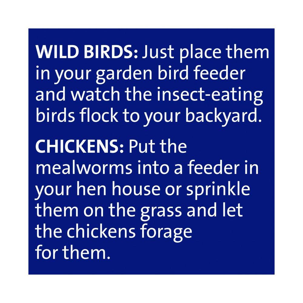 Harmony Dried Mealworms - 120g