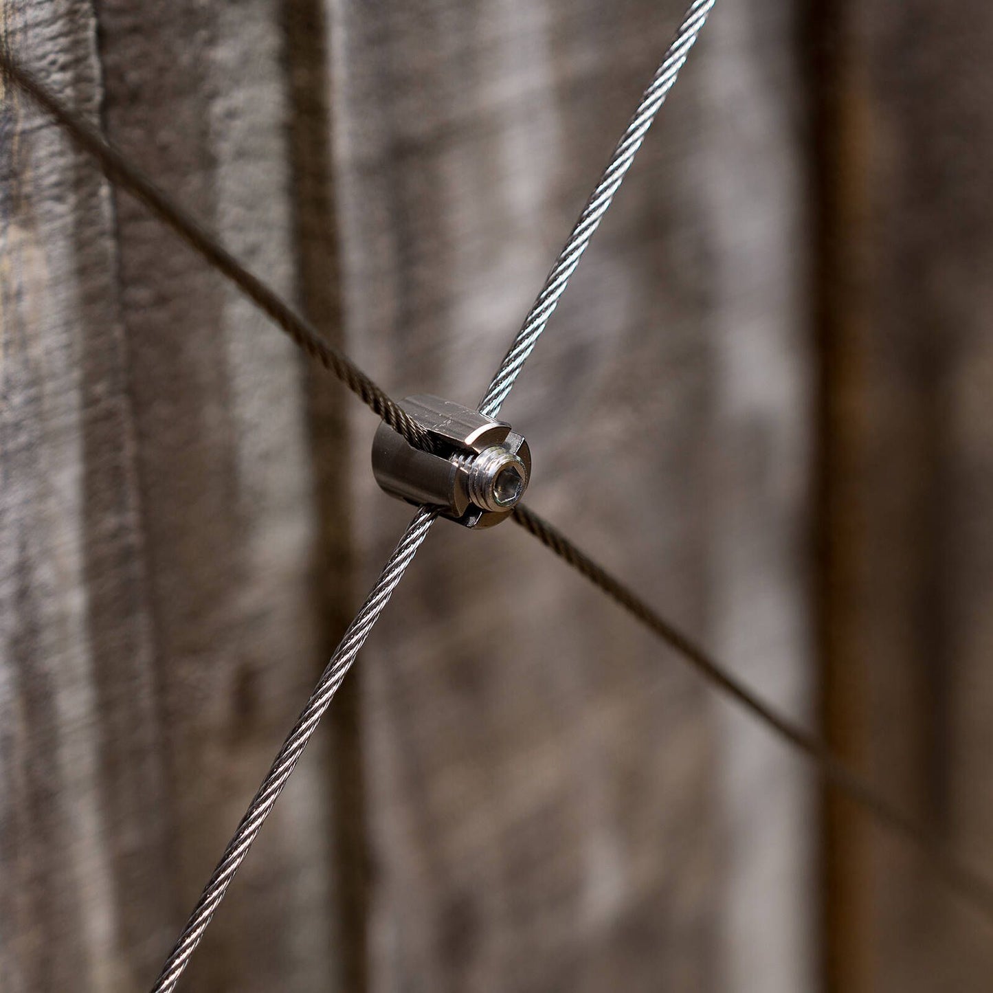 Garden Zen 10m Wire Wall Plant Trainer Kit 316 Stainless Steel Non-Tension