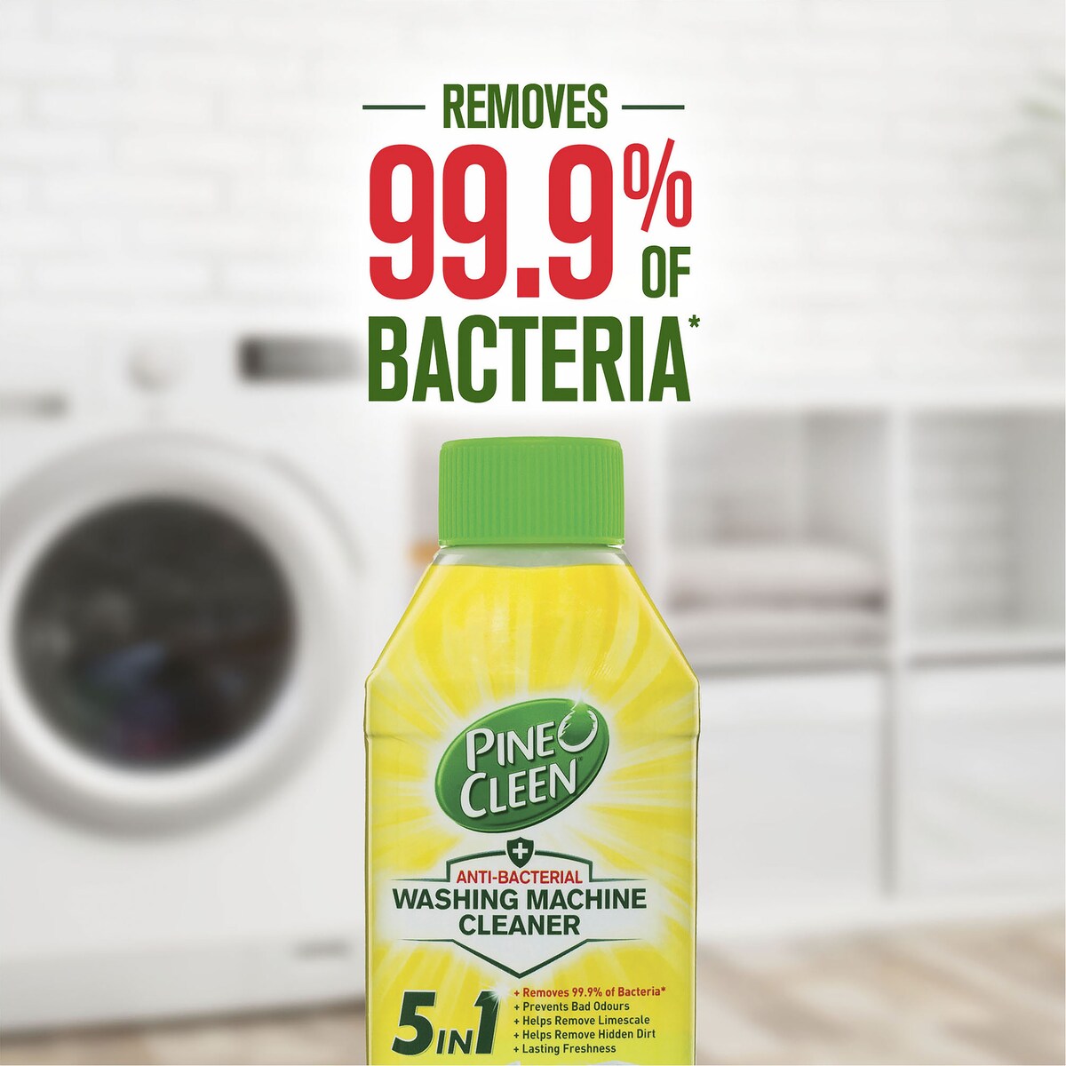 Pine O Cleen Washing Machine Cleaner Lemon Lime 250mL