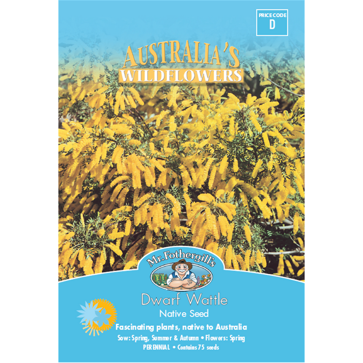 Mr Fothergill Dwarf Wattle Flower Seeds