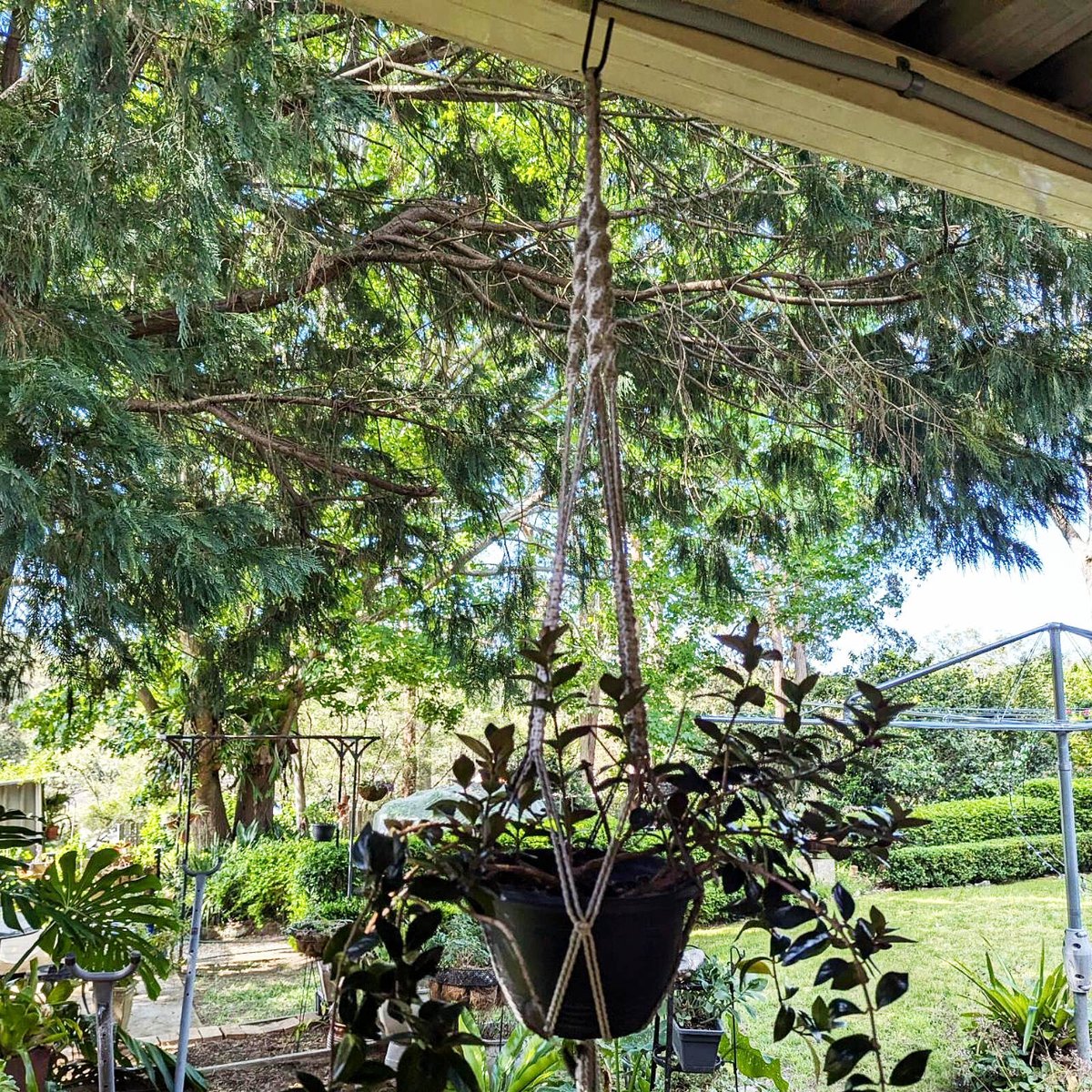 Jack Hanging Basket Hook - 150mm Black Steel - Strong Durable Design