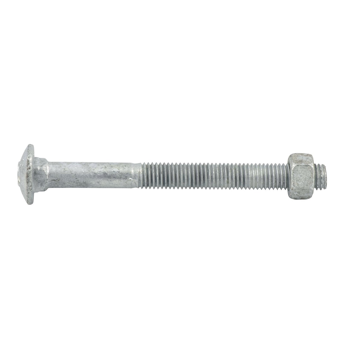 Zenith Hot Dip Galvanised Cup Head Bolts & Nuts - M12 x 130mm - 12 Pack