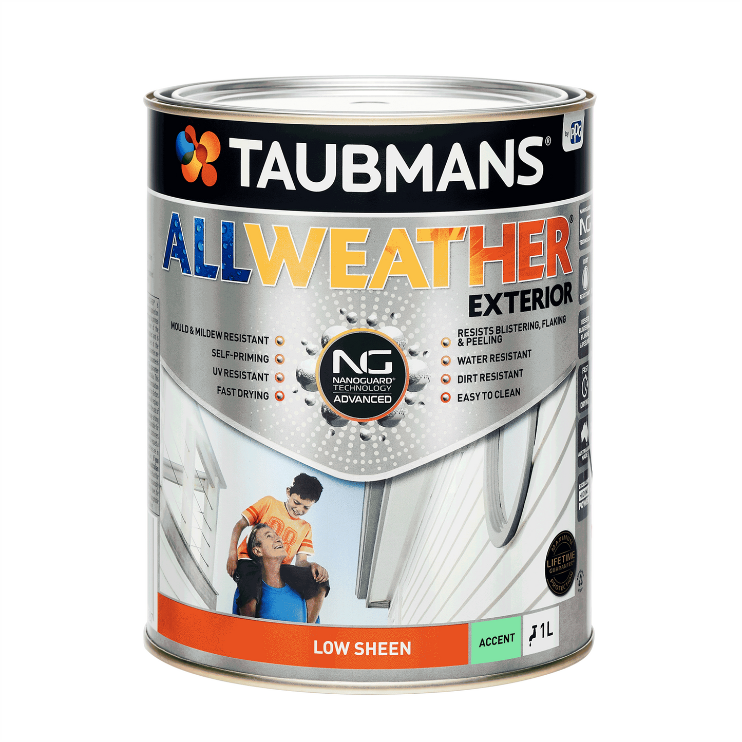 Taubmans All Weather Exterior Paint - 1L - Accent - Low Sheen