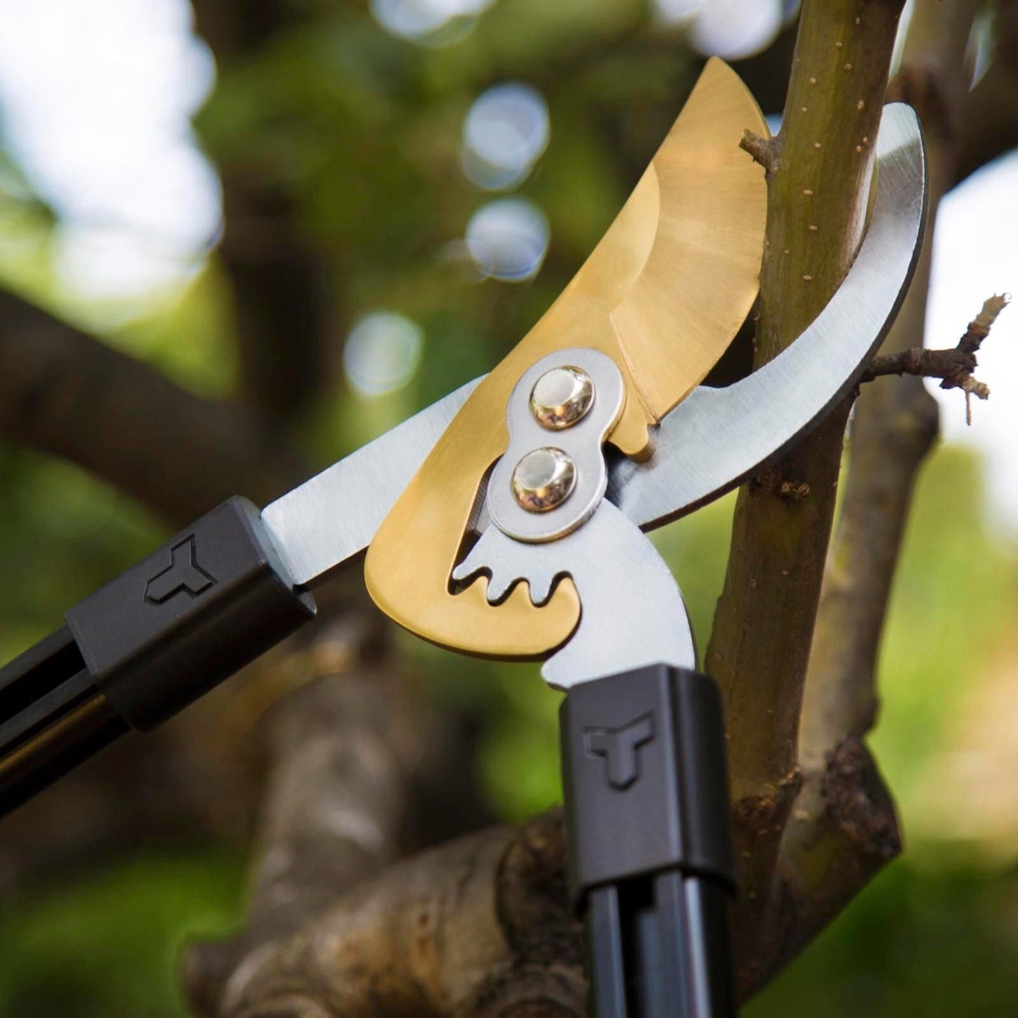 Trojan Geared Telescopic Bypass Lopper - 600mm