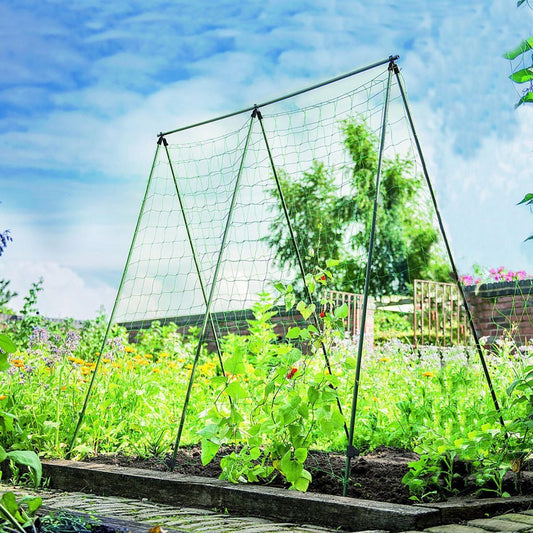Jack Pea & Bean Frame Plant Support - 1.8m Trellis - Sturdy - Easy DIY