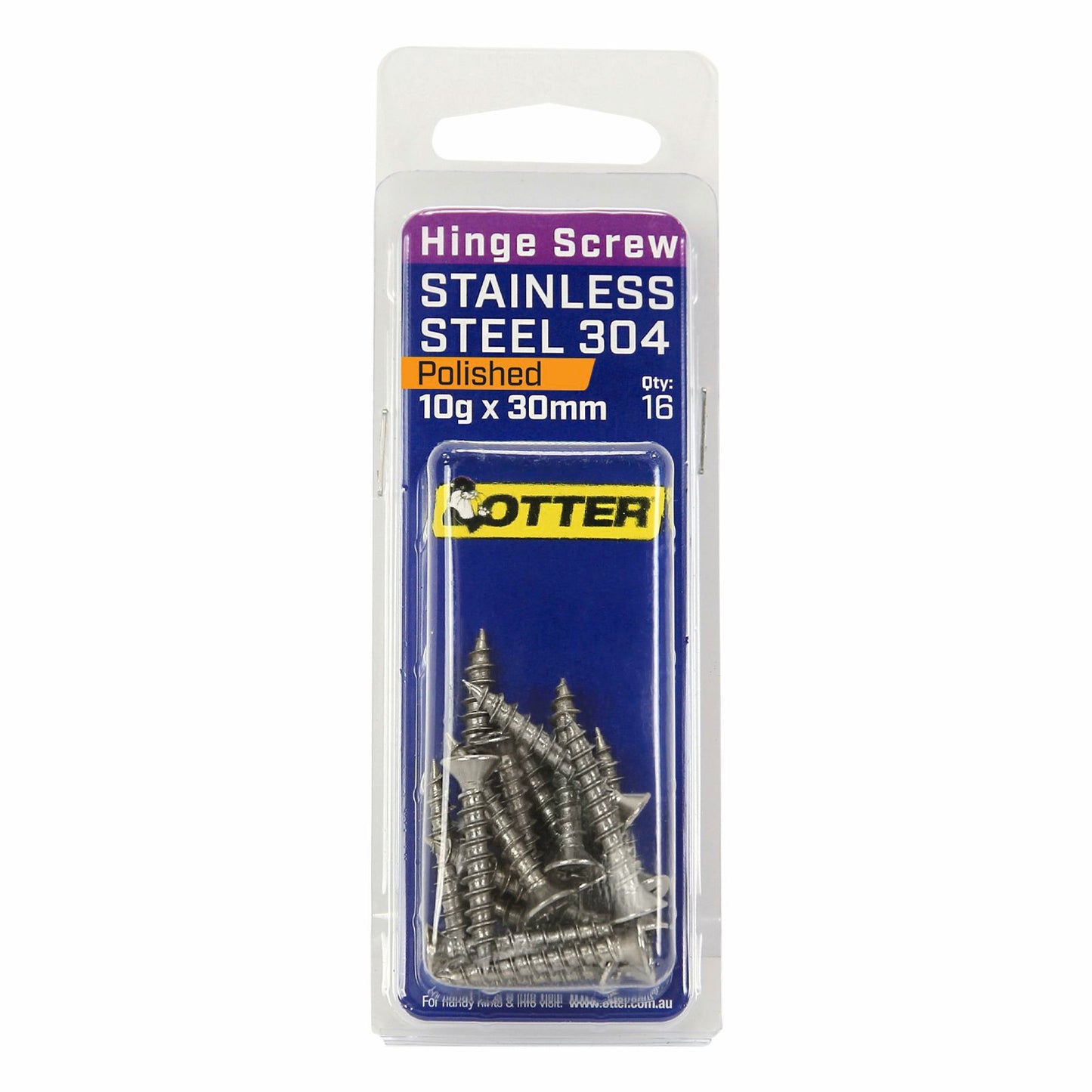 Otter Polished Stainless Steel Hinge Screws - 10 x 30mm - 16 Pack