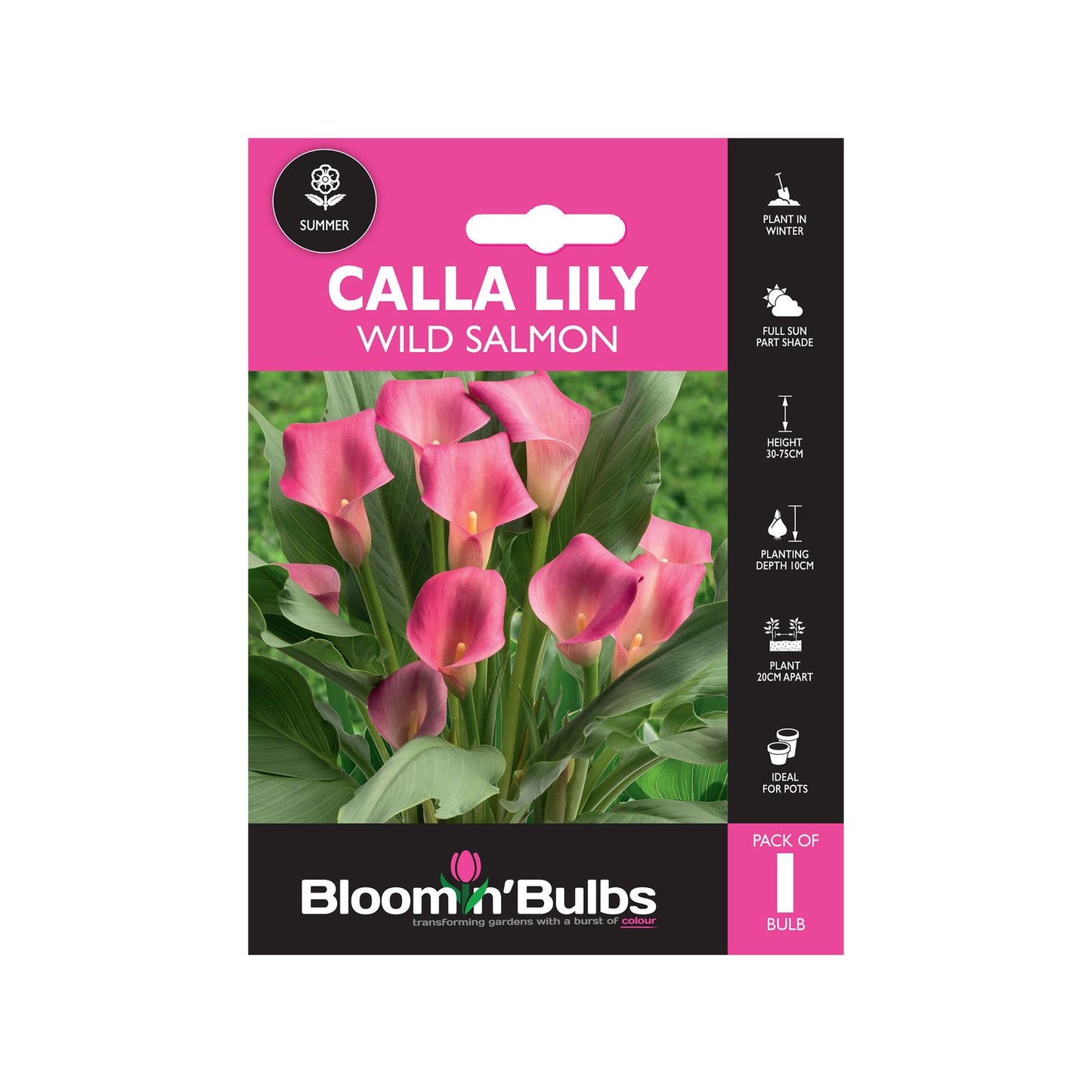 Bloomin Bulbs Calla Lily - Summer Pink - 193 x 130 x 60mm