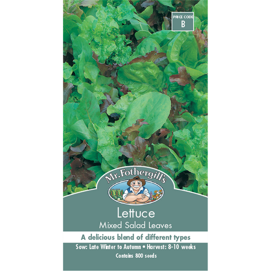 Mr Fothergill Lettuce Mixed Salad Leaves Seeds