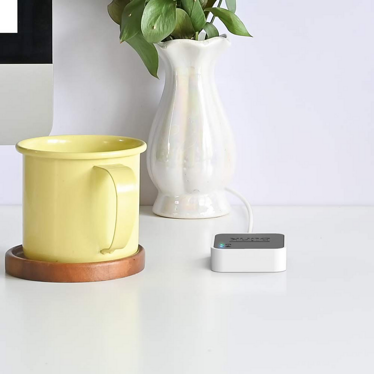 Blink Sync Module 2