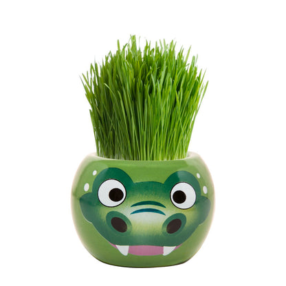 Mr Fothergill Crocodile Grass Hair Kit