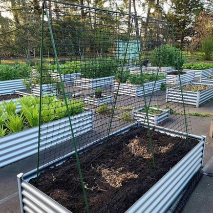 Jack Pea & Bean Frame Plant Support - 1.8m Trellis - Sturdy - Easy DIY