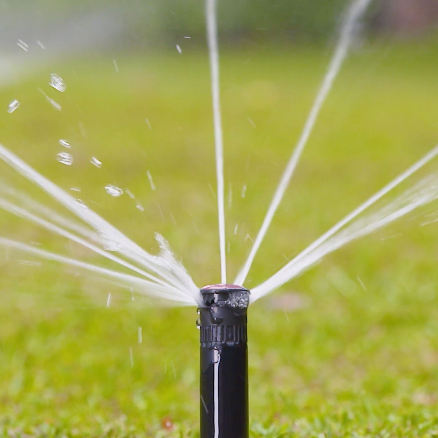 Holman Longstream Rotating Pop Up Sprinkler - 50mm - Full Circle